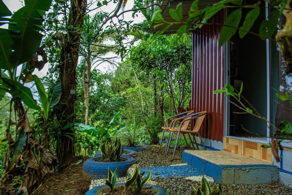 Cabana En La Montana Venecia Ngoại thất bức ảnh
