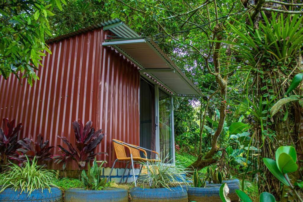 Cabana En La Montana Venecia Ngoại thất bức ảnh